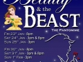 Beauty & the Beast 2015 (www.lmvg.ie)