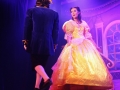 Beauty & the Beast 2015.1 (www.lmvg.ie) (66)