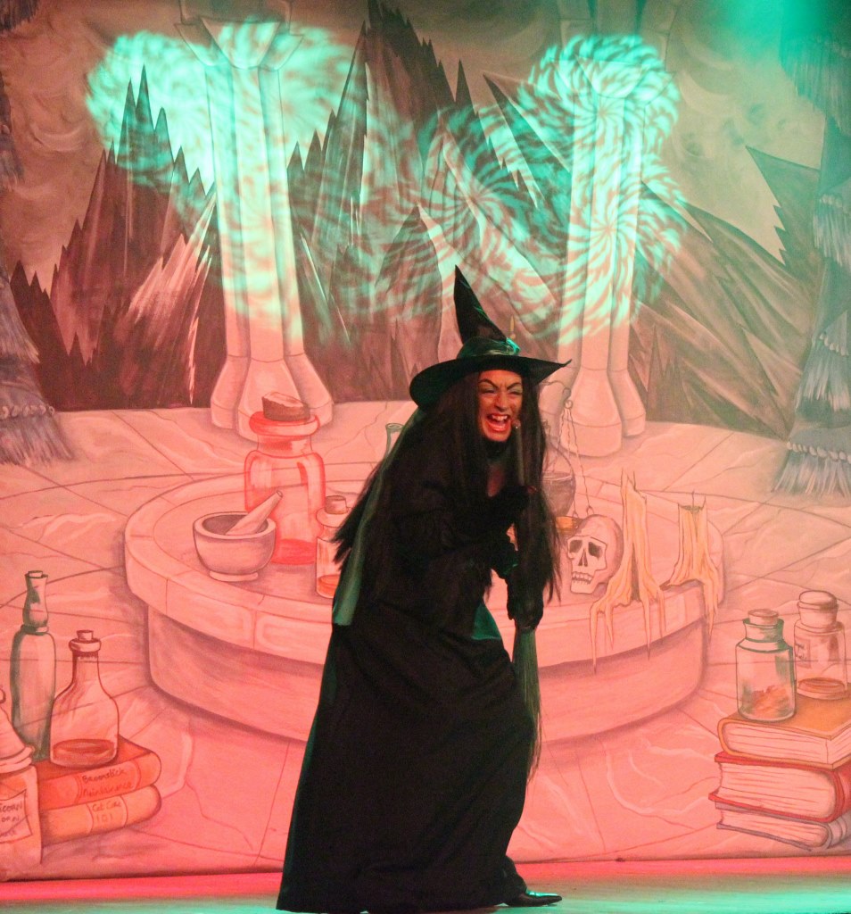 LMVGs Wizard of Oz the Panto (www.lmvg.ie) (108)