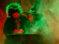 LMVGs Wizard of Oz, the Panto (Photo Credit, Austin Crowe) (32)