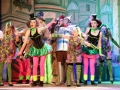 LMVGs Wizard of Oz the Panto (www.lmvg.ie) (70)