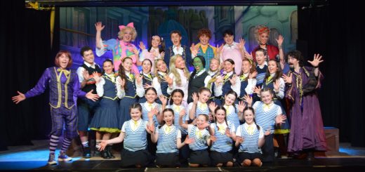 The Cast of Oz: The Leixlip Panto on Stage